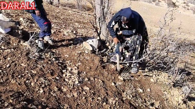 "In the arms of the chimney of Kohsar: a widowed nomadic woman with her children" смотреть онлайн