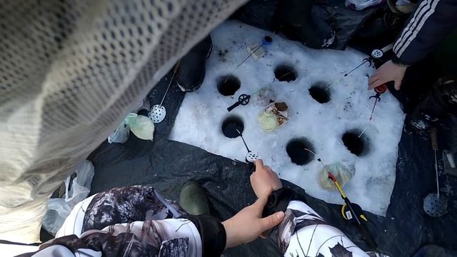 ЗИМНЯЯ РЫБАЛКА НА БЕЛЬ. Ловля синца на мормышку смотреть онлайн