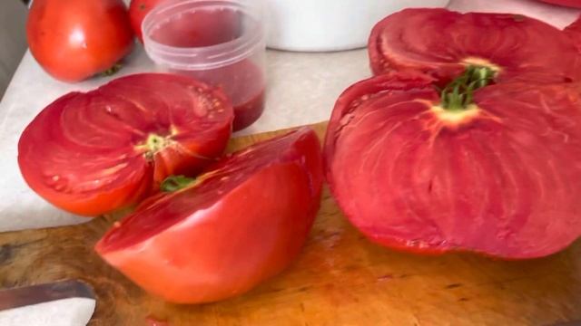 ?МИНУСИНСКИЕ ПОМИДОРЫ? ГОРДОСТЬ РОССИИ!!! смотреть онлайн