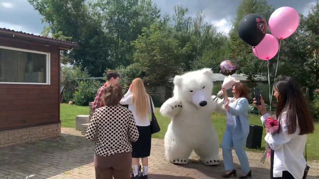 Поздравление белого медведя на день рождения смотреть онлайн