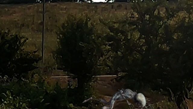 срочно новости парень подстрелил пришельца!пришелец лежал на траве!видео про нло срочно!нло 2020 го смотреть онлайн