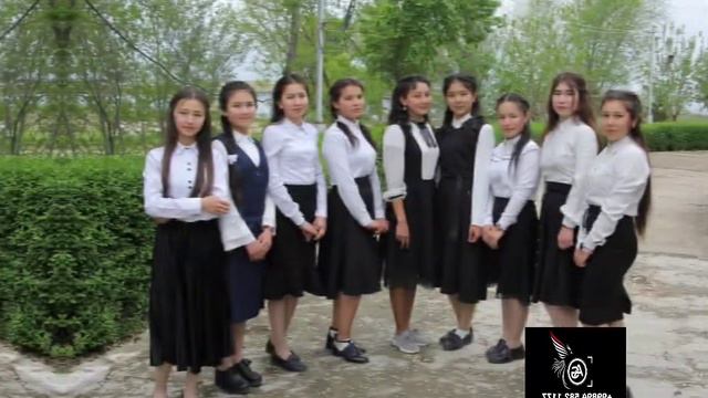 Vinetka fotoalbom Jurnal смотреть онлайн