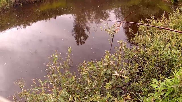 Семейная рыбалка \\ В деревню! смотреть онлайн