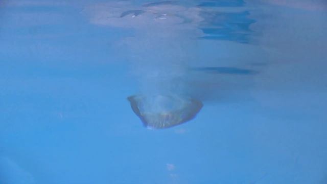 Аттракционы для бассейна в работе: донный гейзер, противоток, водопад "Кобра" смотреть онлайн