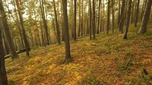 На глухаря с камерой. Охота. Замена печки, устройство "удобств". смотреть онлайн