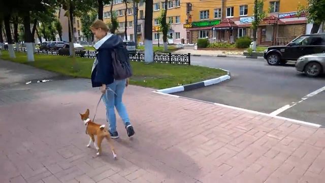 Рядом - первые шаги смотреть онлайн