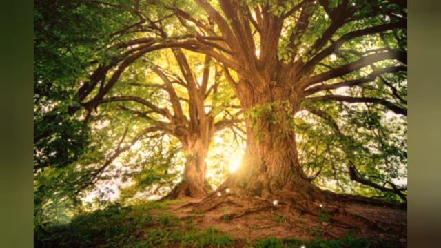 Защита и Активизация - бесплатная медитация. смотреть онлайн