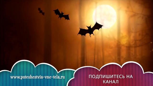 СОННИК - К чему снится ЛЕТУЧАЯ МЫШЬ? смотреть онлайн