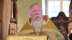 Проповедь в день памяти святых апостолов Петра и Павла. Димитрий Смирнов
