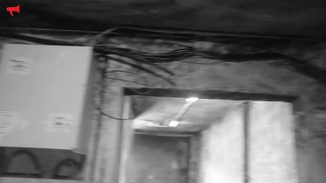 Владивостокские гостинки: постновогоднее погружение в преисподнюю смотреть онлайн