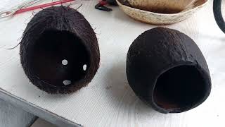 Как сделать домик (грот) из кокоса в аквариум своими руками. Как правильно подготовить кокос. смотреть онлайн