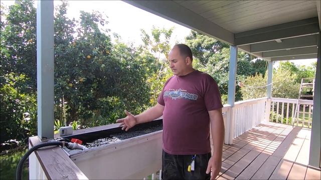 Огородничество#48 Самодельный фильтр для очистки пруда 2в1 фильтруем воду и выращиваем овощи. Hawai смотреть онлайн