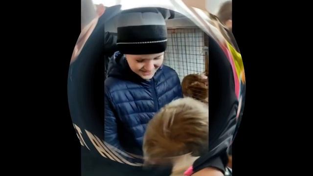 Экскурсия в Приют для бездомных животных ЗооГеленджик смотреть онлайн