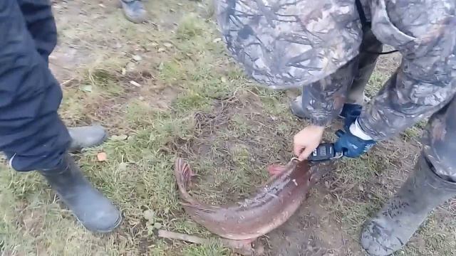 платник у друга ,Михайловская слобода смотреть онлайн