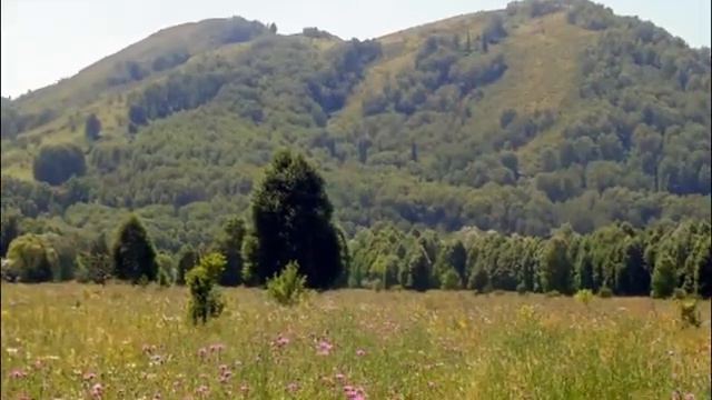 На реке Белой смотреть онлайн