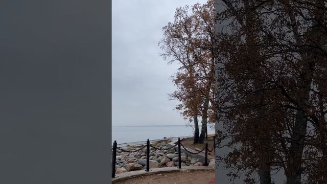 Сестрорецк, провожаем осень смотреть онлайн