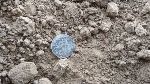 Удельная чешуя на старом тракте. Коп монет.