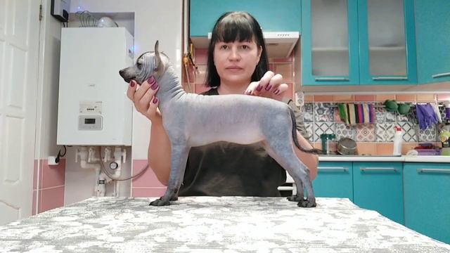 КСОЛОИТЦКУИНТЛИ КИНИЧ АХАУ ЛИЛИЯ смотреть онлайн