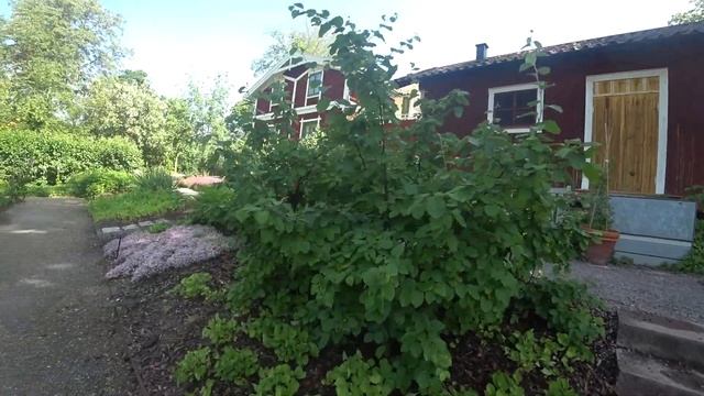 Музей Скансен в Стокгольме .Чем была избушка на курьих ножках ? смотреть онлайн