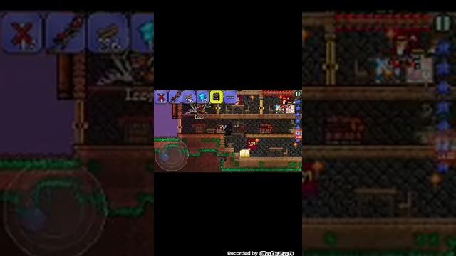 Terraria дюп смотреть онлайн