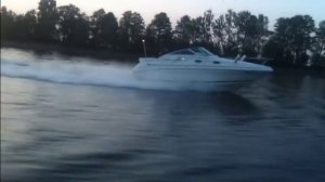 Круизный катер Sea Ray Sundancer 240