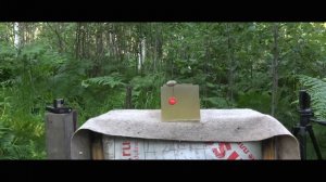 Энергия и пенетрация стрелы 50м. Баллитический гель