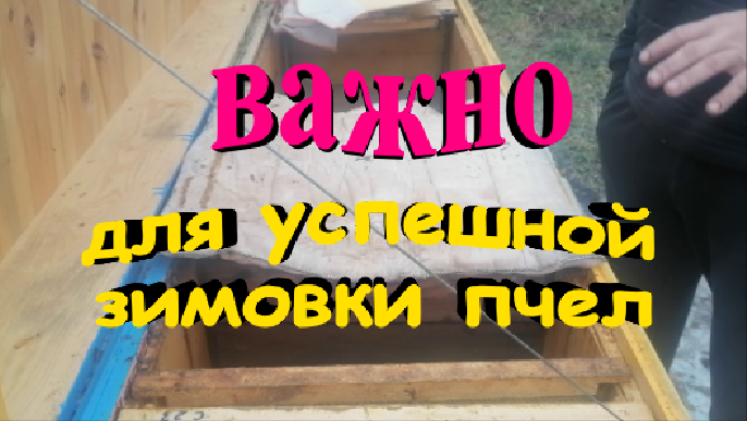 Несложная но очень важная процедура на пасеке для успешной зимовки пчел смотреть онлайн