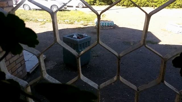 Следы Идиотов(СИ-See)footprints Of Idiots (Part 1)