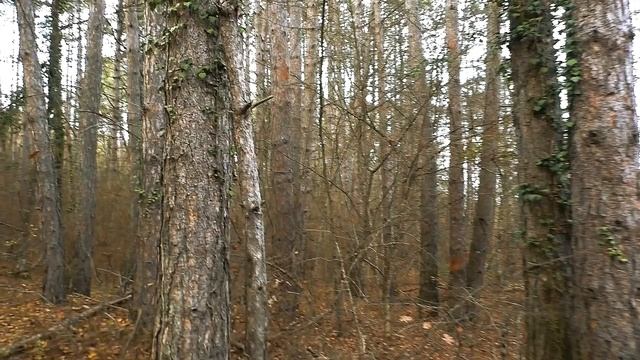 ВАЖНО!!! СРОЧНО!!! инструкции Полковника КГБ!!! смотреть онлайн