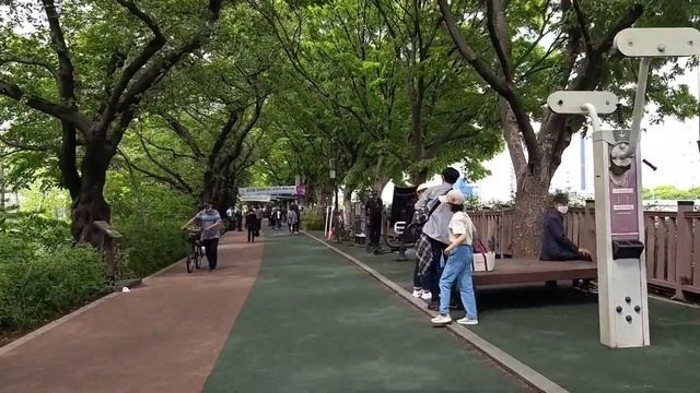 Changan Cherry Blossom Road смотреть онлайн