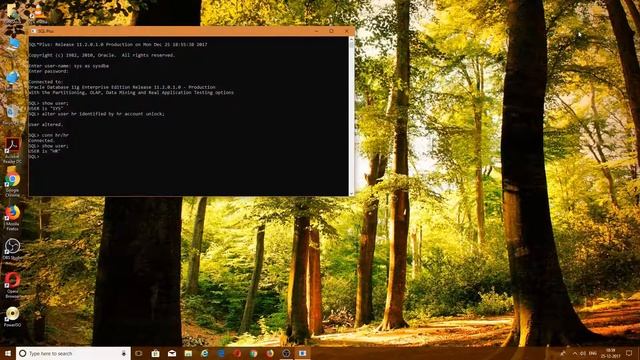 How to unlock user and change password in Oracle 11g(Hindi) смотреть онлайн