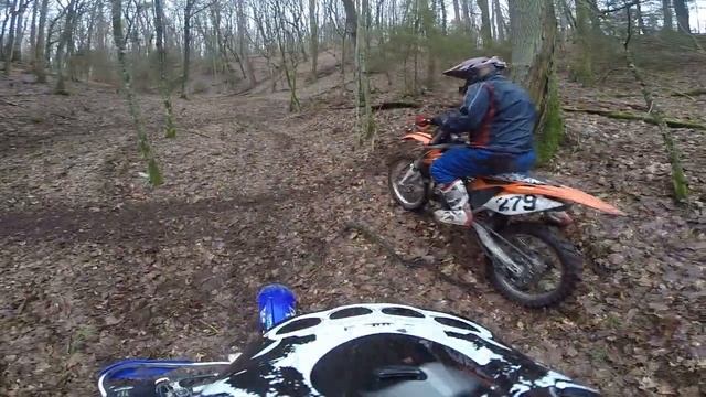 Светлогорский лес смотреть онлайн