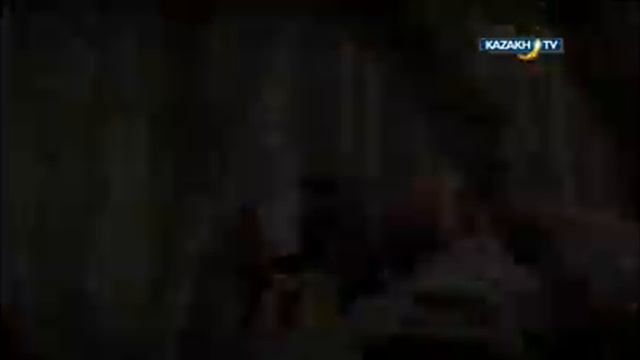 Коллективная охота в Германии