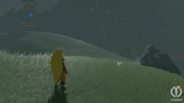 ZELDA: TEARS OF THE KINGDOM - Ricompensa per TUTTI gli Emblemi di Rospettro смотреть онлайн