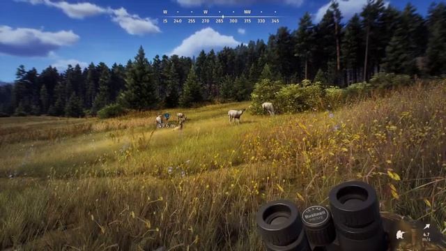 Animal Alert/Spook/Hunting pressure guide updated and revisited - Way of the Hunter смотреть онлайн