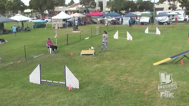 Zen Sun Excellent Standard DACVandBVDTC July 2013 смотреть онлайн