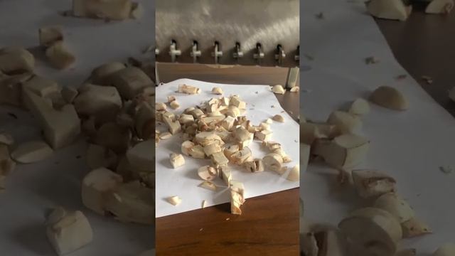 Гриборезка (резка для грибов) mushroom slicer смотреть онлайн