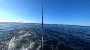 РЫБАЛКА НА ЯХТЕ В ОТКРЫТОМ ОКЕАНЕ/VLOG №6