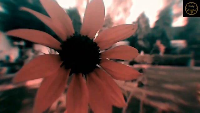 Surah Yasin Yaseen Beautiful Recitation یس سورہ #quran #yasin смотреть онлайн