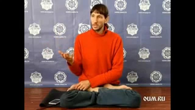 Варны (касты, сословия). Зачем знать свою варну. Андрей Верба. смотреть онлайн