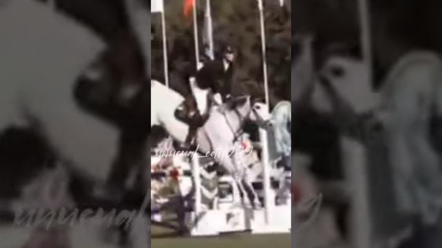 Эдит(лошади) мне очень даже весело 😂