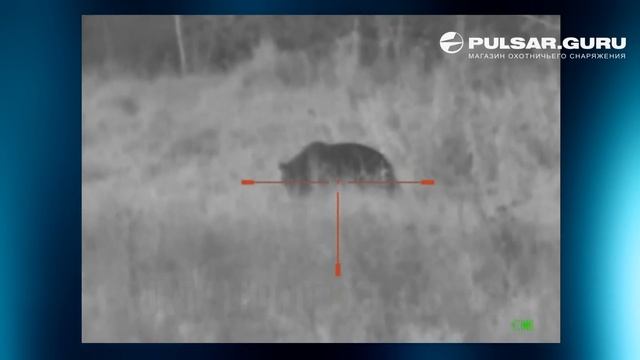 Охота на медведя с ночным прицелом YUKON PHOTON смотреть онлайн