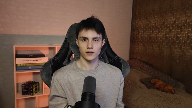 НОВАЯ БЮДЖЕТНАЯ БЕСПРОВОДНАЯ МЫШКА ОТ ARDOR | ОБЗОР ARDOR GAMING RAVAGE смотреть онлайн