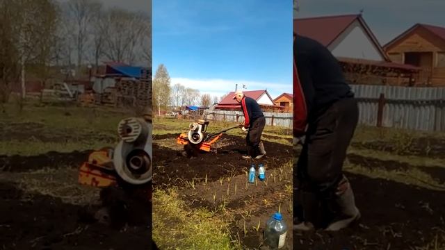 8 мая 2017 г. смотреть онлайн
