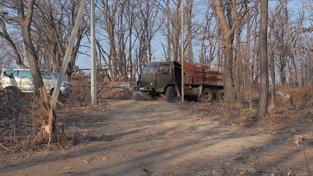 Незаконную вырубку деревьев зафиксировали в районе улицы Гражданской во Владивостоке. смотреть онлайн