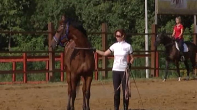 МЯТА. Выпуск 94. От 22.08.14. Часть 2