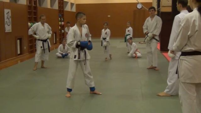 Семинар кумитэ СК "Бусин-кан" под руководством Ястребова О.А. смотреть онлайн