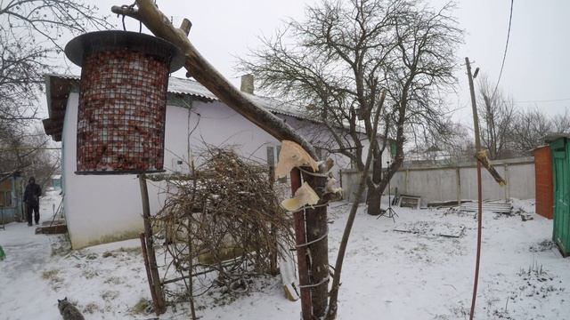 Я на заднем плане, а тут синицы, меняю кормушку 4К СалоЗимаДенисово 2