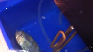 Самодельный сувид. Демонстрация работы.