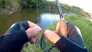 Ловля голавля и жереха на перекатах на кренки